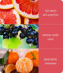 Picture of H&H FRAGRANCE DIFFUSER PINK GRAPEFRUIT & CASSIS